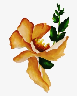 Garden Roses, HD Png Download, Free Download