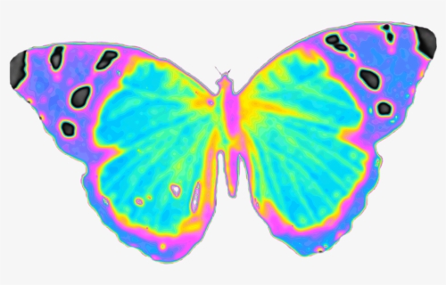 #butterfly #wings #fly  #holographic #dinah #dinaaaaaah - Lycaenid, HD Png Download, Free Download