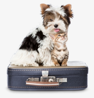Dog Suitcase Clip Art, HD Png Download, Free Download