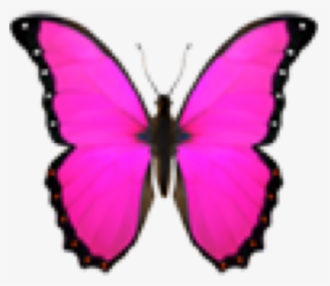 #emoji #iphoneemoji #butterfly #butterflyemoji #pink - Emoji Butterfly, HD Png Download, Free Download