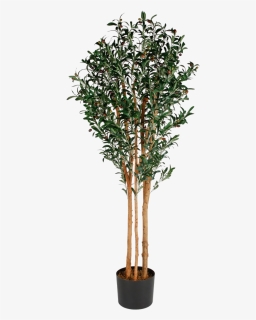 Artificial Tree Png Photos - Artificial Tree Png, Transparent Png, Free Download