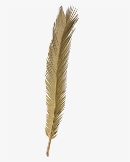 Natural Dried Palm Leaf, HD Png Download, Free Download
