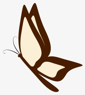 New Butterfly Png, Transparent Png, Free Download