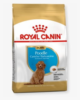 Royal Canin Labrador Junior, HD Png Download, Free Download