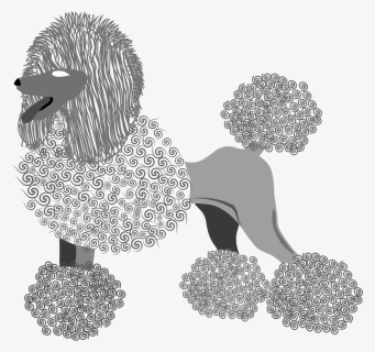 This Png File Is About Vector , French Poodle , Breed - Illustration, Transparent Png, Free Download
