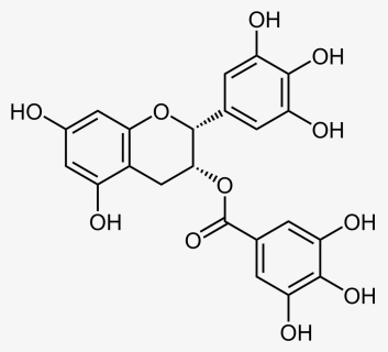 Epigallocatechin Gallate, HD Png Download, Free Download
