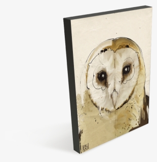Barn Owl Png Image - Great Grey Owl, Transparent Png - kindpng