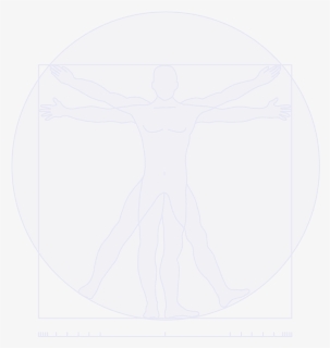 Leonardo Da Vinci"s Vitruvian Man - Graphic Design, HD Png Download, Free Download