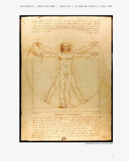 Vitruvian Man, HD Png Download, Free Download