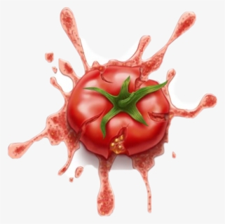 Transparent Tomatoe Png - Tomato Splat Transparent, Png Download, Free Download