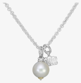 14ky/ss White Drop Pearl Necklace - Necklace, HD Png Download, Free Download