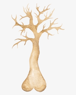 Png Transparente De Arboles Ornamentales - Illustration, Png Download, Free Download