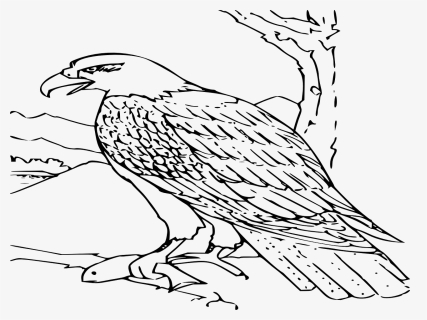 Hawk Black And White, HD Png Download, Free Download