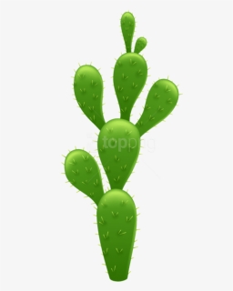 Free Png Cactus Transparent Png Images Transparent - Transparent Background Cactus Clipart, Png Download, Free Download