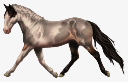 Horse Running Transparent Background, HD Png Download, Free Download