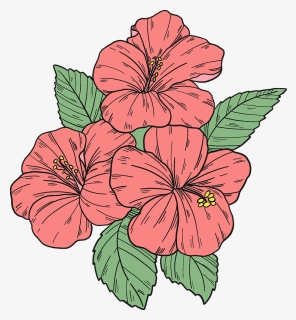 Pink Hibiscus Flowers Clipart - Hawaiian Hibiscus, HD Png Download, Free Download