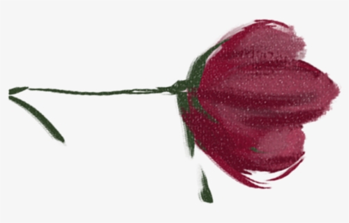 Rose, HD Png Download, Free Download