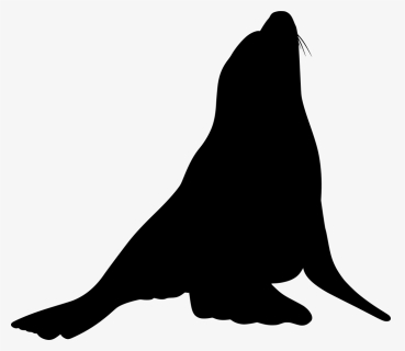 Sea Lion Silhouette Shower Curtain Clipart , Png Download - Portable Network Graphics, Transparent Png, Free Download
