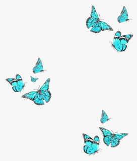 Freetoedit Remixit Butterfly Overlay Bluebutterfly - Butterfly Overlay Free, HD Png Download, Free Download
