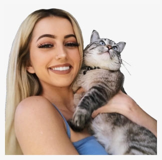 Transparent, Editing Needs, Lycia Faith And Png - Domestic Short-haired Cat, Png Download, Free Download