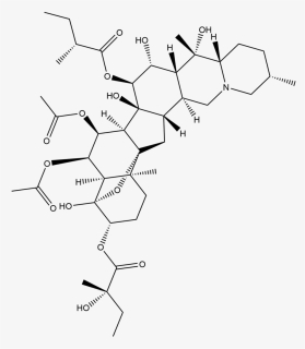 Veratrum Album Alkaloids, HD Png Download, Free Download