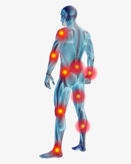 Muscle Pain Png, Transparent Png, Free Download