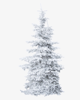 Tube Sapin Neige Png, Transparent Png, Free Download