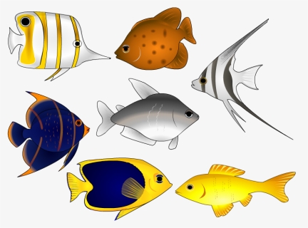 Fish Vector, HD Png Download, Free Download