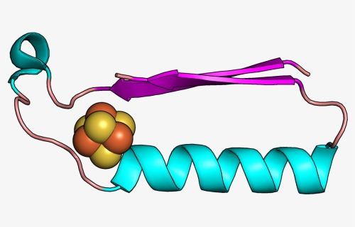 Simple Protein, HD Png Download, Free Download