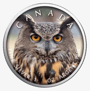 Canadian Gold Maple Leaf - Silver Coin, HD Png Download, Free Download