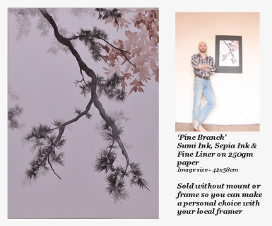 005 Pine Branch Ink Painting Gillies Web - Larch, HD Png Download, Free Download