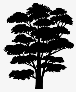 Tree Silhouette Shapes, HD Png Download, Free Download