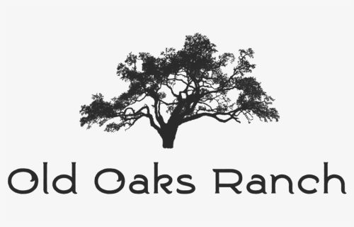Hd Old Oaks Ranch Fb-8 Format=1500w Transparent Png - Silhouette, Png Download, Free Download