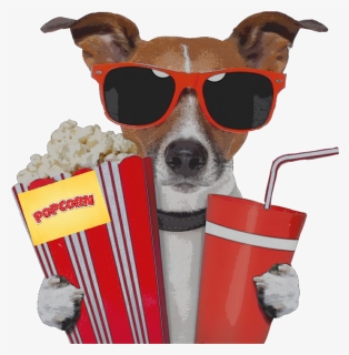 Dog Movie Sunglass Popcorn Movietheater Movietime Red - Jack Russell Terrier Sunglasses, HD Png Download, Free Download