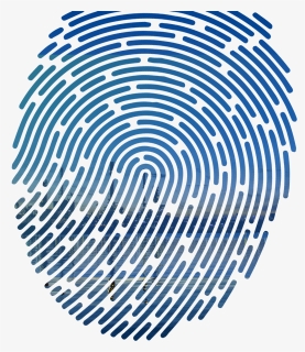 Fingerprint Vector, HD Png Download, Free Download