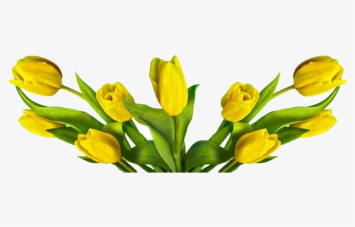 Easter Flower Transparent Png - Easter Flowers Png, Png Download, Free Download