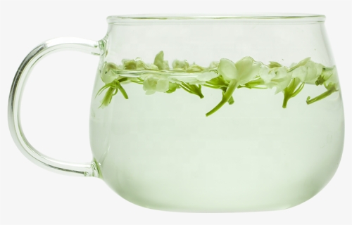 Transparent Jasmine Flower Png - Cup, Png Download, Free Download