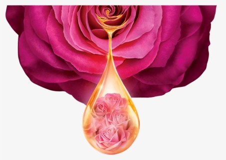 Floral Fusion Oil - Shower Gel, HD Png Download, Free Download