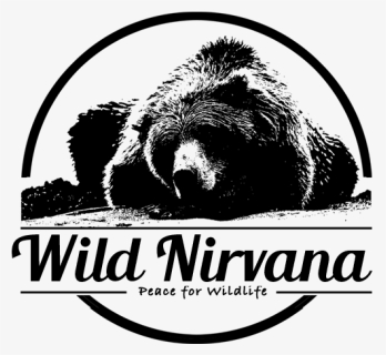 Grizzly Bear, HD Png Download, Free Download