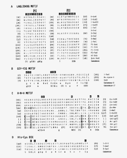 Document, HD Png Download, Free Download