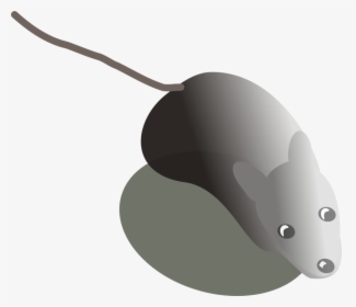 Technology,computer Icons,computer Mouse - Fish, HD Png Download, Free Download