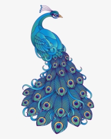 Transparent Peacock Clipart - Design Peacock, HD Png Download, Free Download