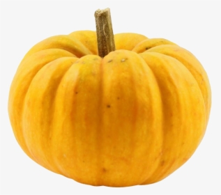 Transparent Acorn Squash Clipart - Pumpkin, HD Png Download, Free Download