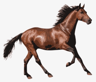 Horse Pony Clip Art - Horse Transparent, HD Png Download, Free Download