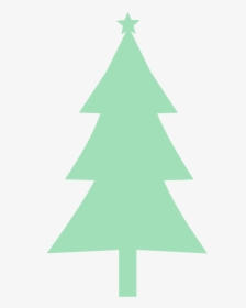 Fir,pine Family,christmas Decoration - Camp Rocks, HD Png Download, Free Download