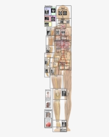 Floor Plan, HD Png Download, Free Download