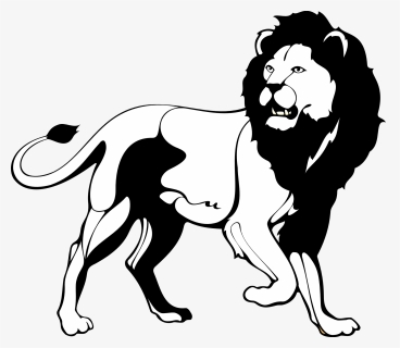 School Clipart Lion - Lion Png Black And White, Transparent Png, Free Download