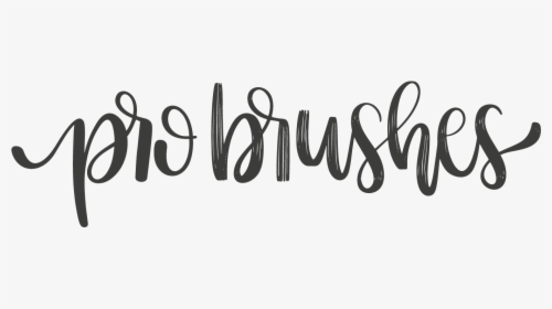 Probrushes - Net - Calligraphy, HD Png Download, Free Download
