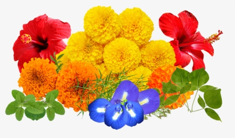 Real Floral Png - Real Flowers Png, Transparent Png, Free Download