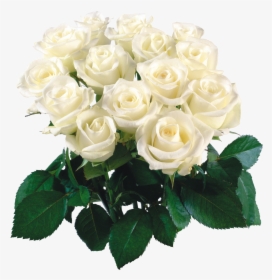 Bouquet Flowers Png - White Flower Bokeh Png, Transparent Png, Free Download